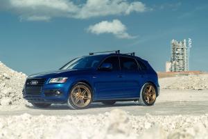 Audi SQ5 TFSI on ADV.1 Wheels (ADV06MV2CS) 2015 года 